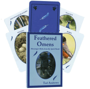 Feathered Omens Spiritual kortos Dragonhawk Publishing - OBUOLYS