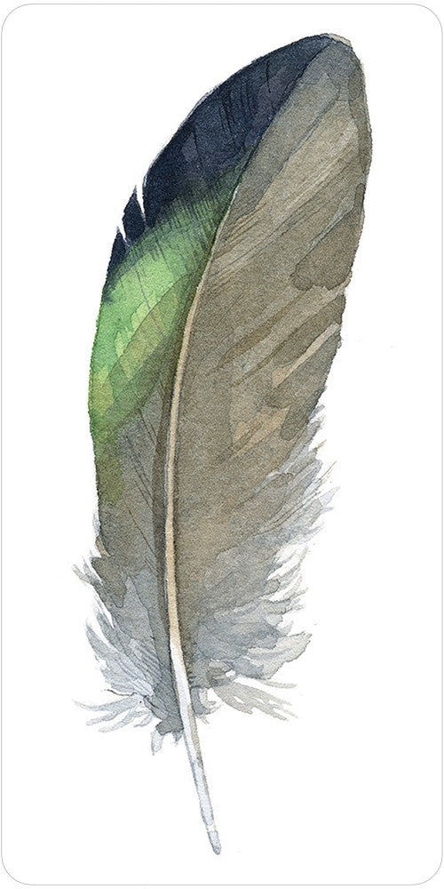 Divine Feather Oracle kortos US Games Systems