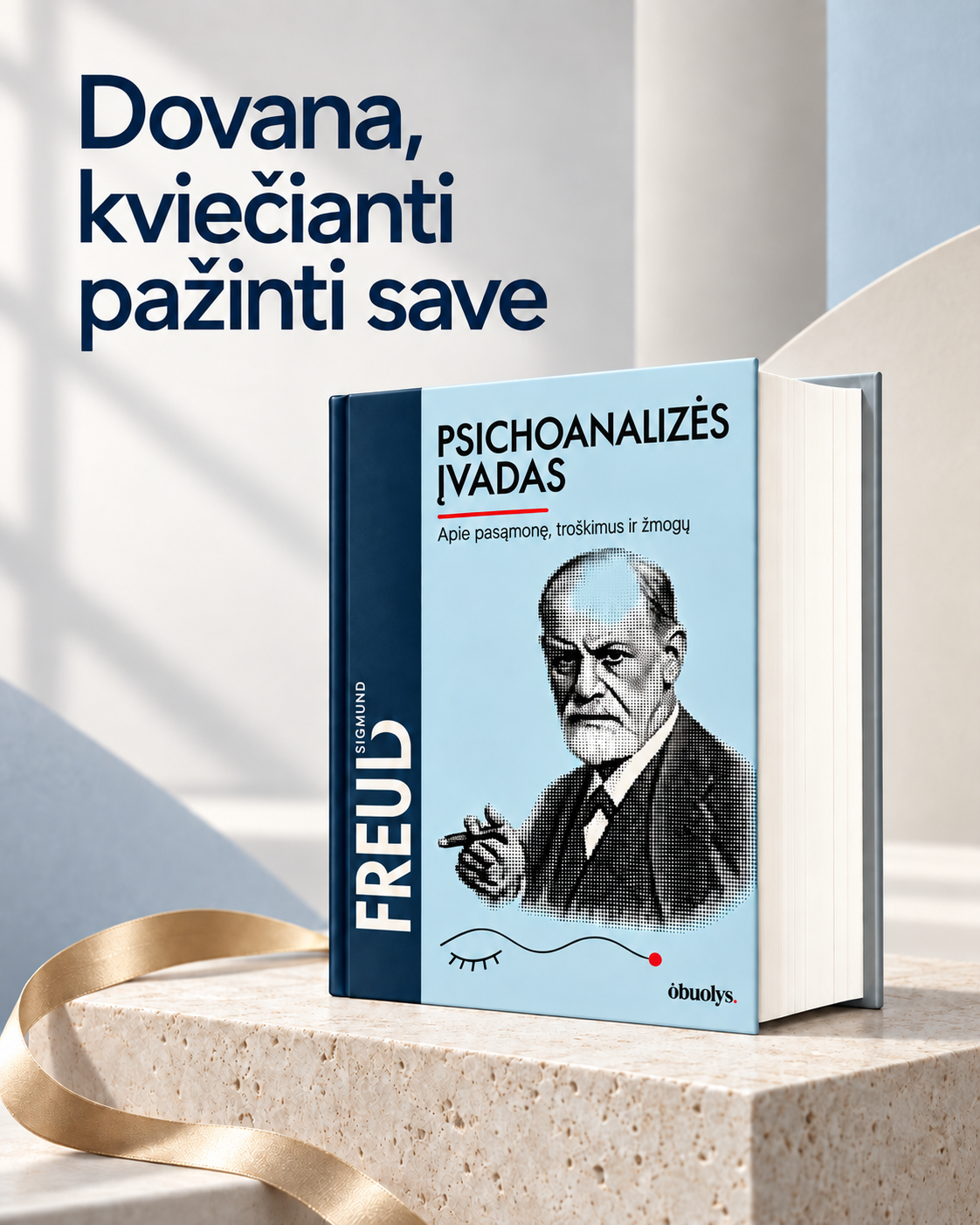 Psichoanalizės įvadas: visos paskaitos + pirmą kartą lietuviškai Naujasis paskaitų ciklas