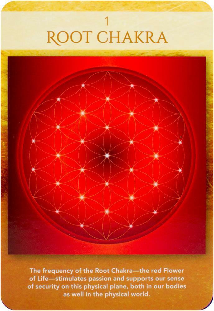 Sacred Geometry Activations Oracle kortos Beyond Words