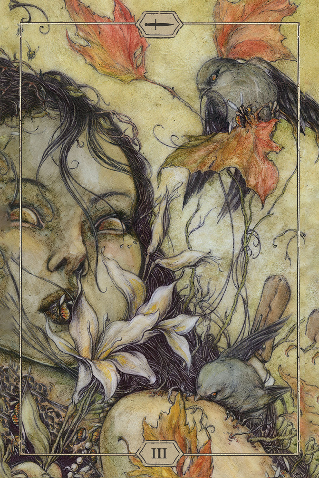 HUSH TAROT: paslaptinga gamtos, dvasios ir meno sąjunga taro kortose ieškantiems gilių įžvalgų