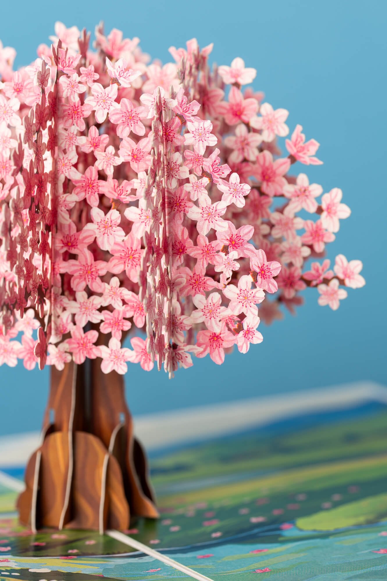 GRAŽIOJI SAKURA: išskirtinio grožio 3D pop - up atvirukas + vokas - OBUOLYS