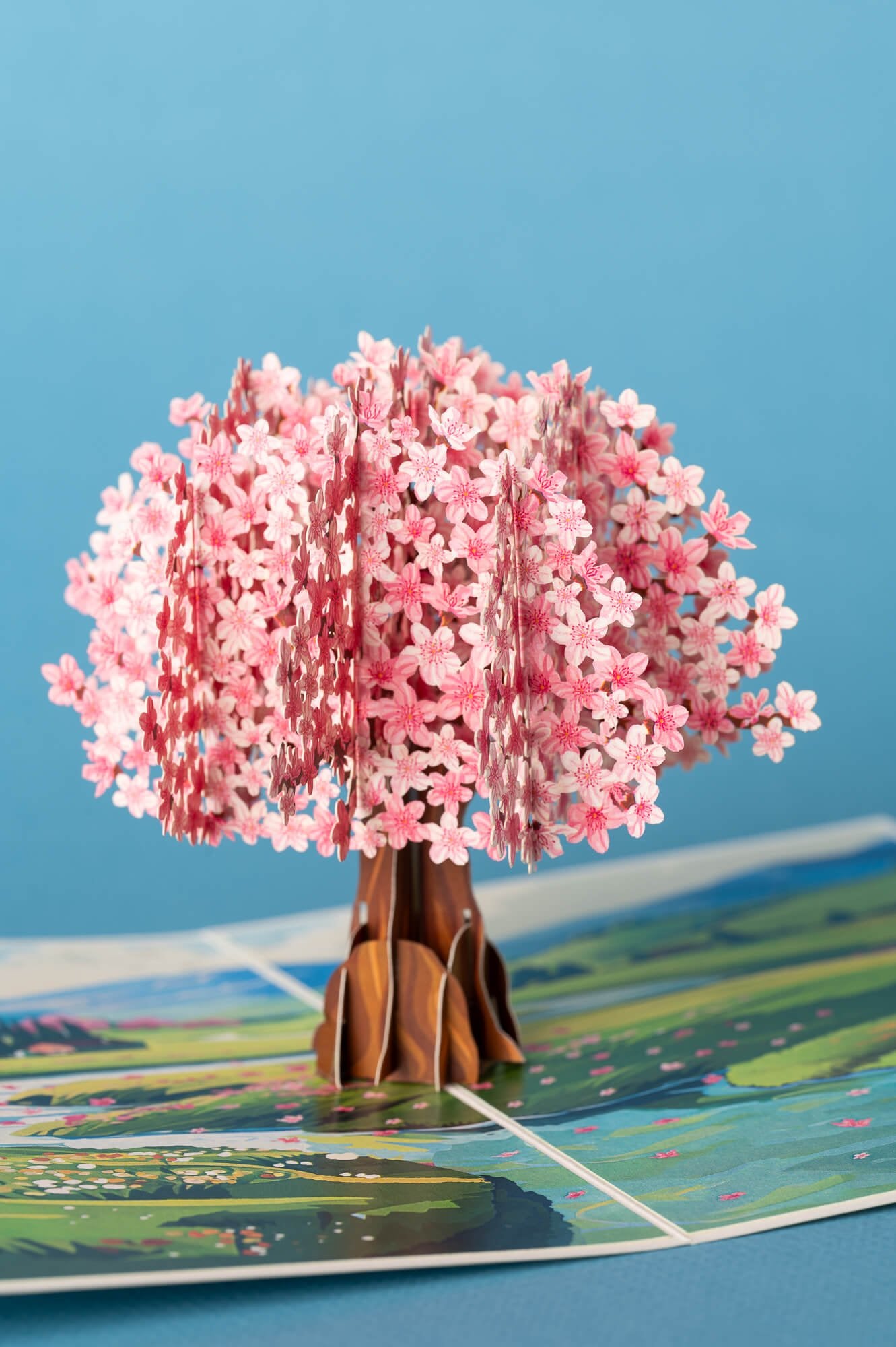 GRAŽIOJI SAKURA: išskirtinio grožio 3D pop - up atvirukas + vokas - OBUOLYS