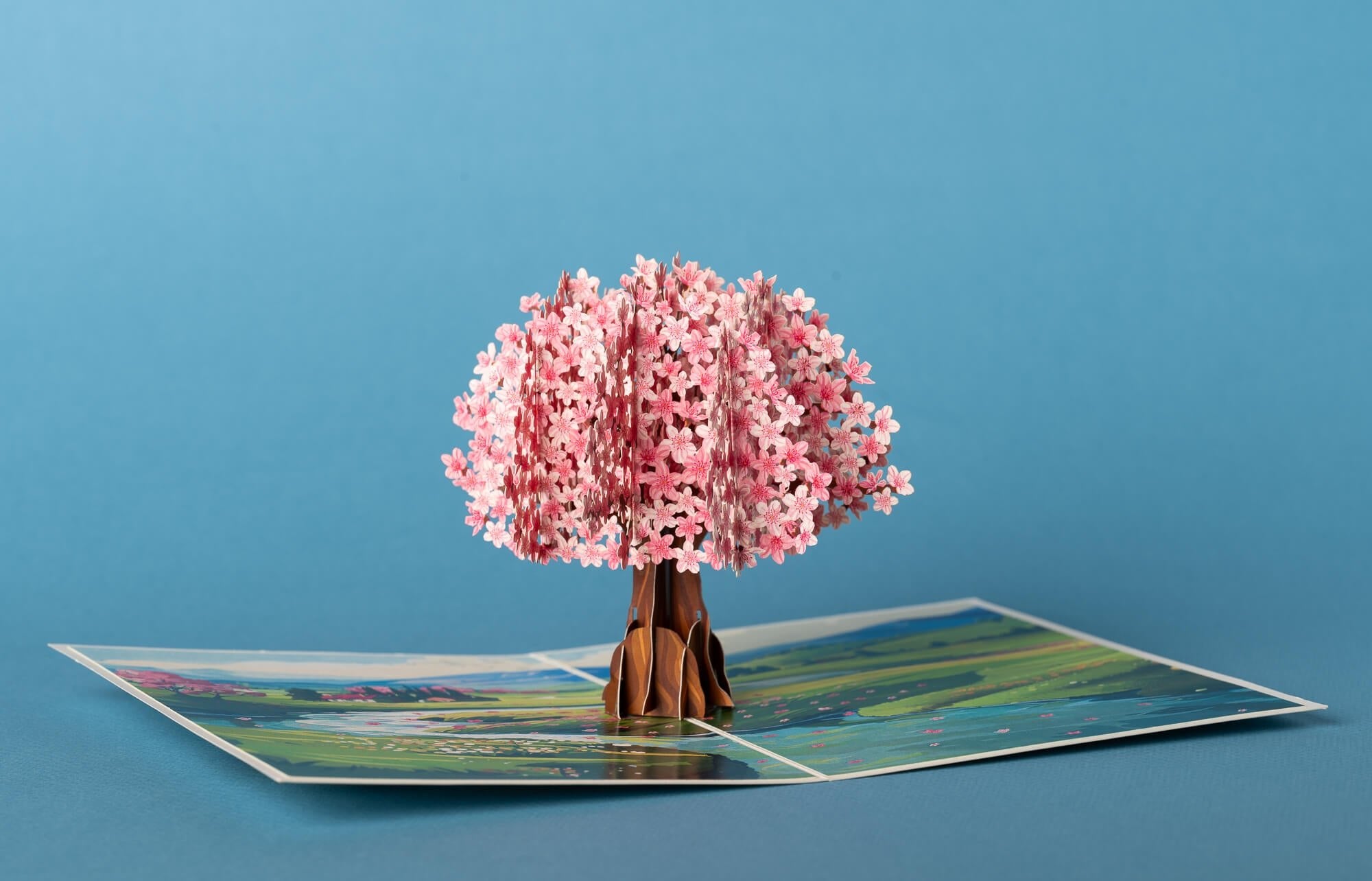 GRAŽIOJI SAKURA: išskirtinio grožio 3D pop - up atvirukas + vokas - OBUOLYS