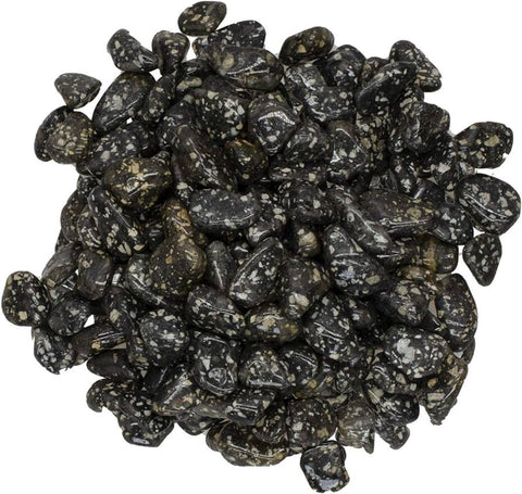 Guinea Fowl akmuo (24 vnt. S dydžio) Ancient Wisdom - OBUOLYS