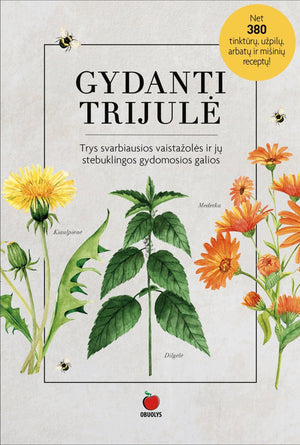 GYDANTI TRIJULĖ: trys svarbiausios vaistažolės ir jų stebuklingos gydomosios galios - OBUOLYS