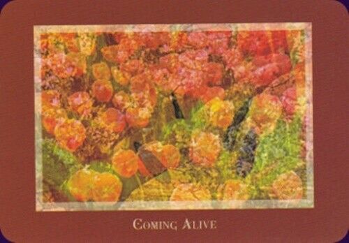 Gaia’s Vision Oracle kortos Schiffer Publishing