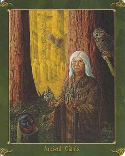 The Green World Oracle kortos Schiffer Publishing