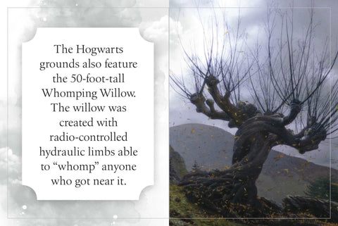 Harry Potter: Hogwarts (maža knygelė) Insight Editions - OBUOLYS