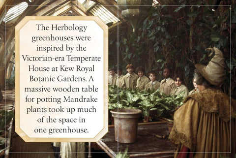 Harry Potter: Hogwarts (maža knygelė) Insight Editions - OBUOLYS