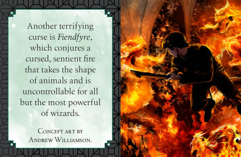 Harry Potter: The Dark Arts (maža knygelė) Insight Editions - OBUOLYS