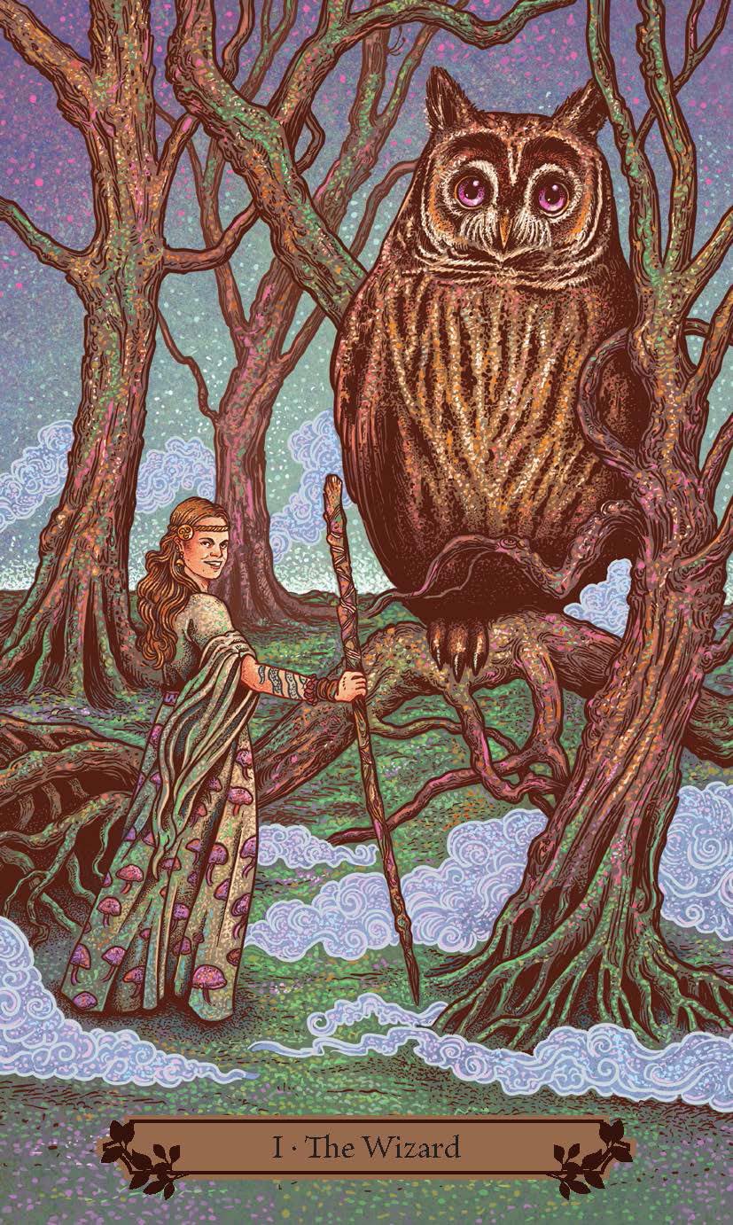 Hedgewitch Taro kortos Llewellyn - OBUOLYS