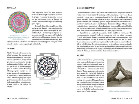 Dream Your Reality Knyga Schiffer Publishing