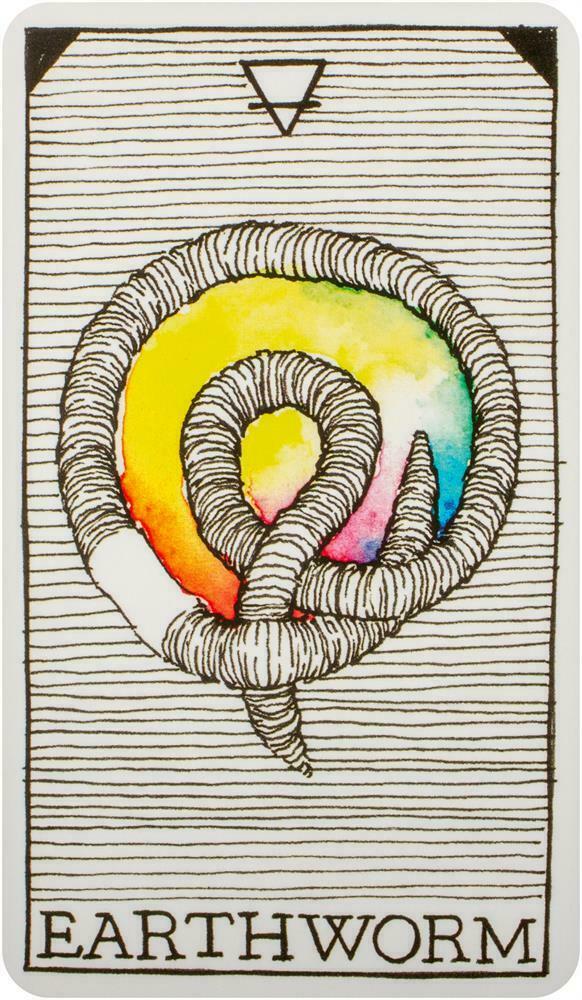 The Wild Unknown Pocket Animal Spirit kortos Harper One