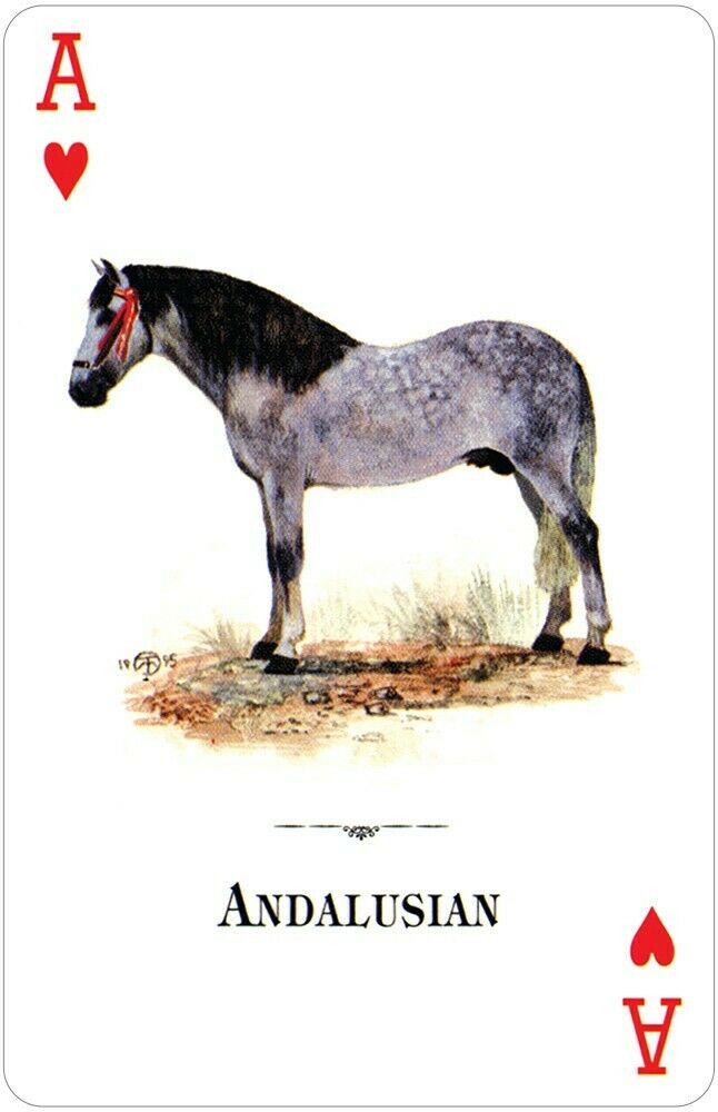 Horses Of The Natural World žaidimo kortos Us Games Systems - OBUOLYS
