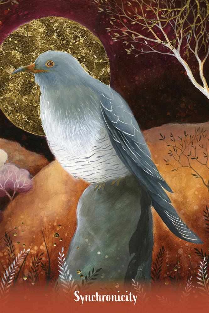 Earth Angels Message kortos Animal Dreaming