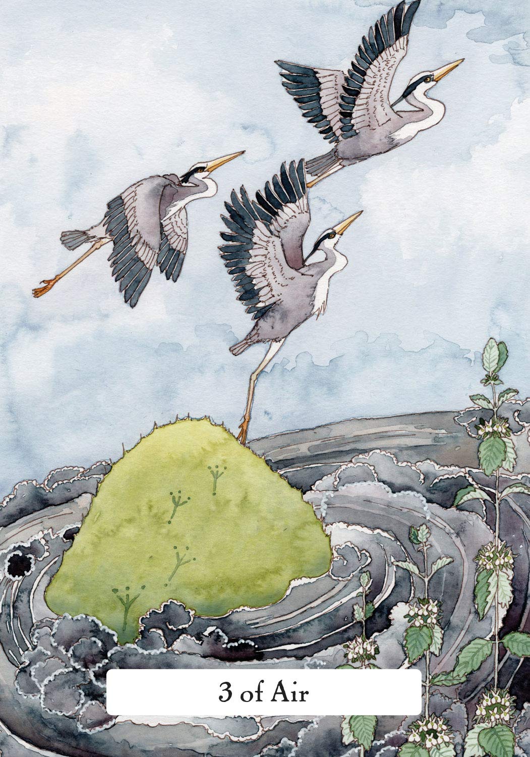 The Witches' Wisdom Tarot kortos Hay House
