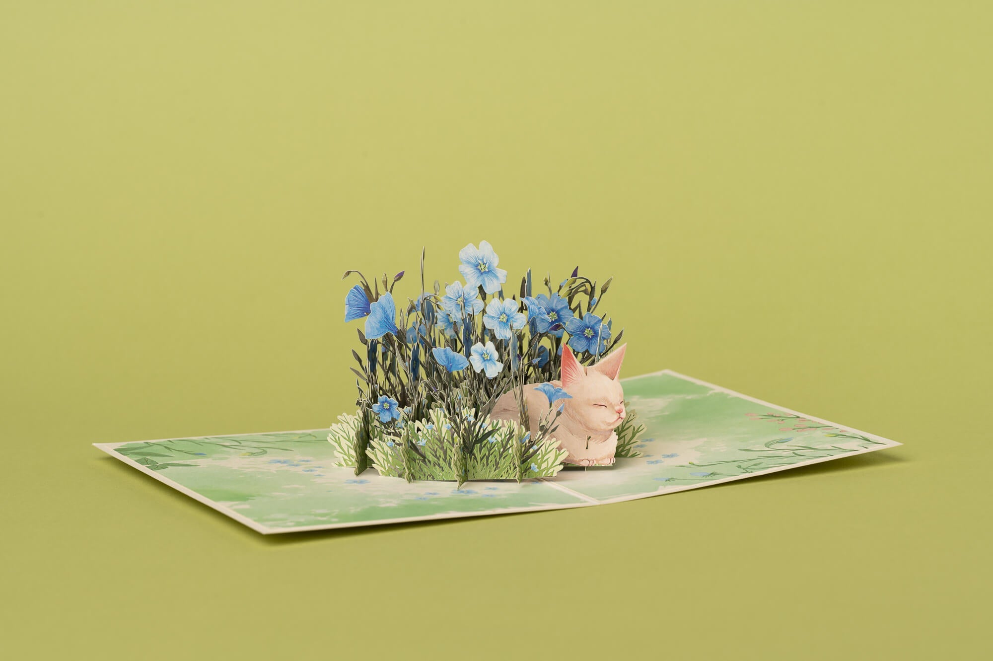 KAČIUKAS, MIEGANTIS ŽIBUTĖSE: išskirtinio grožio 3D pop - up atvirukas + vokas - OBUOLYS