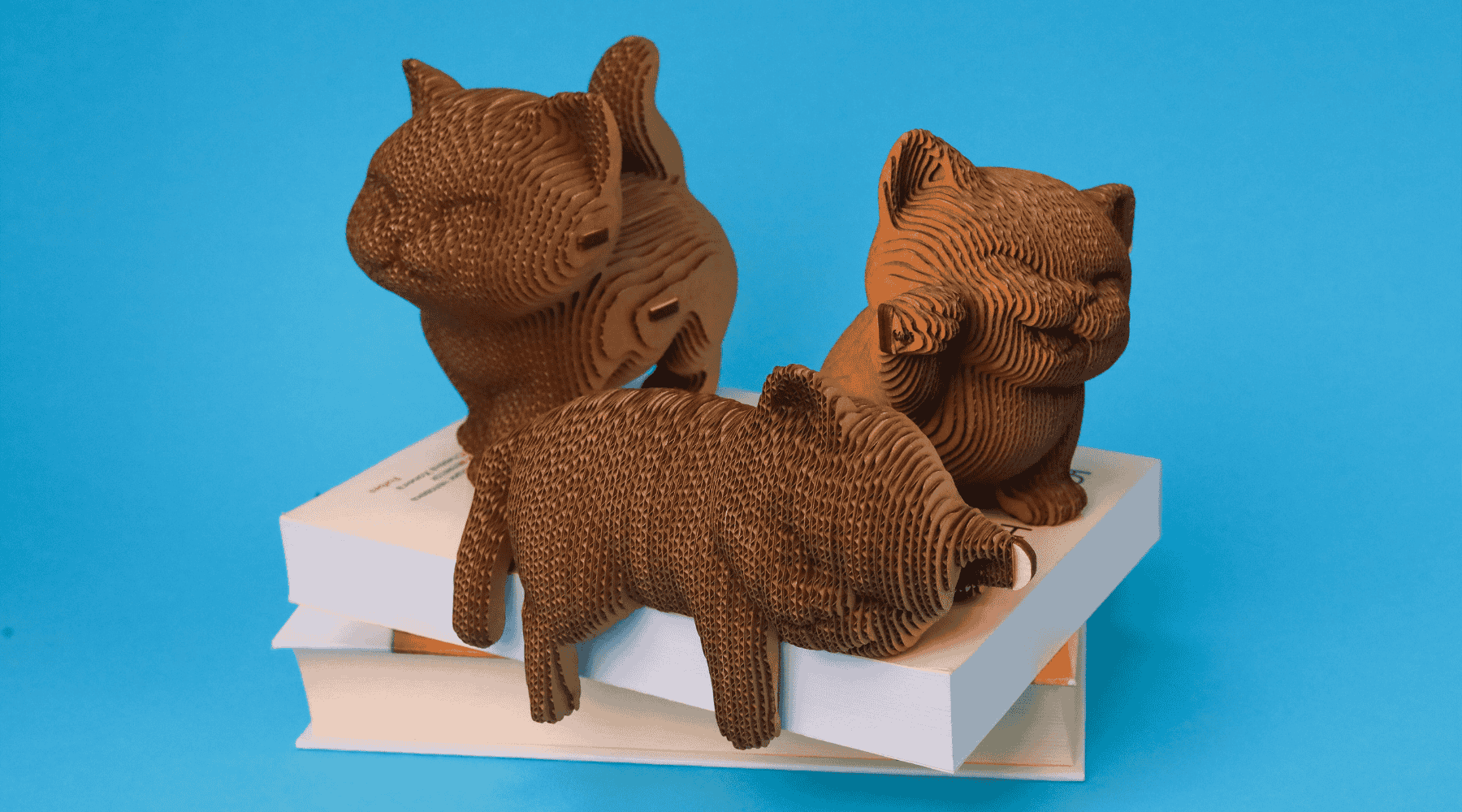 KAČIUKŲ TRIO: surenkama 3D dėlionė - skulptūra - OBUOLYS