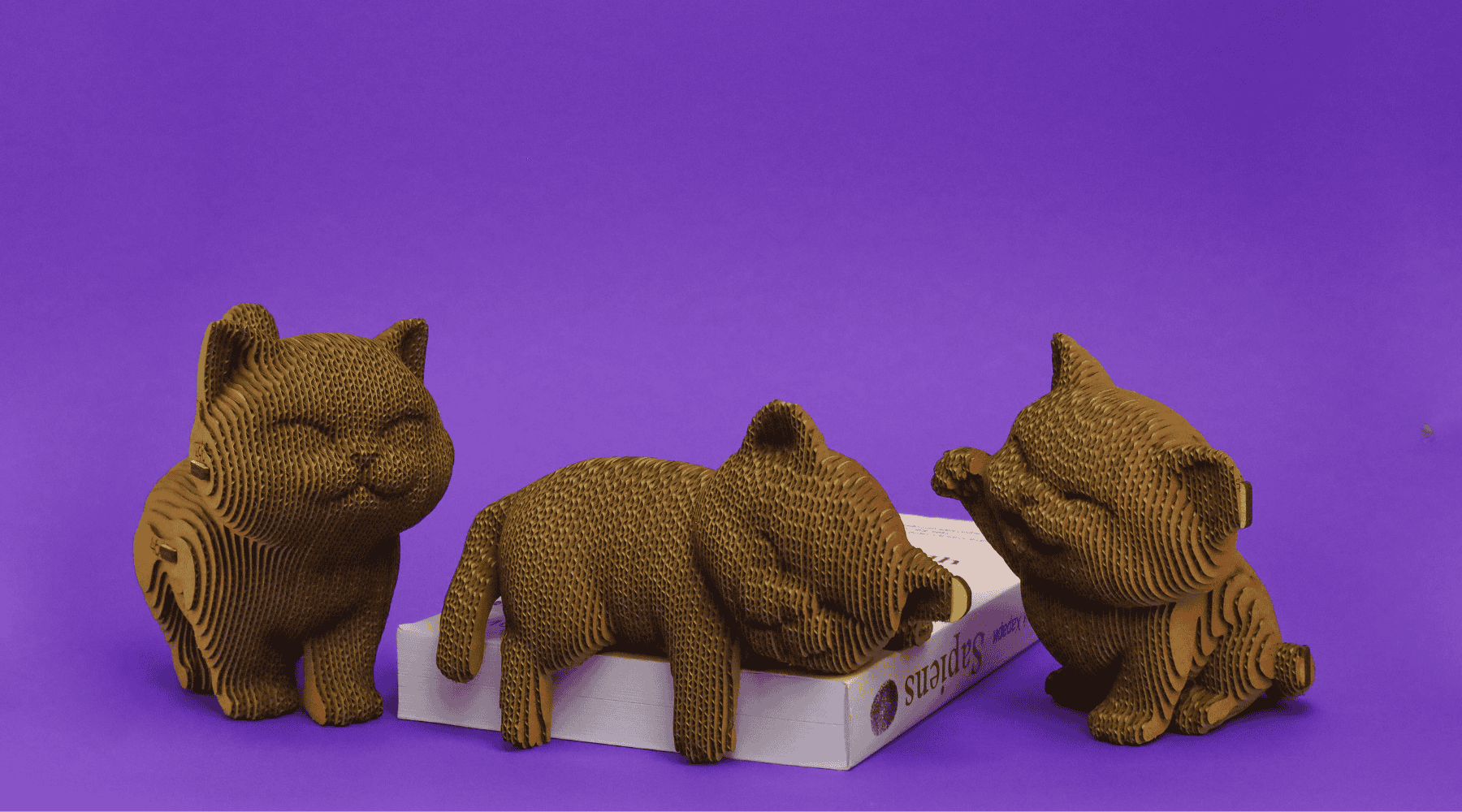 KAČIUKŲ TRIO: surenkama 3D dėlionė - skulptūra - OBUOLYS