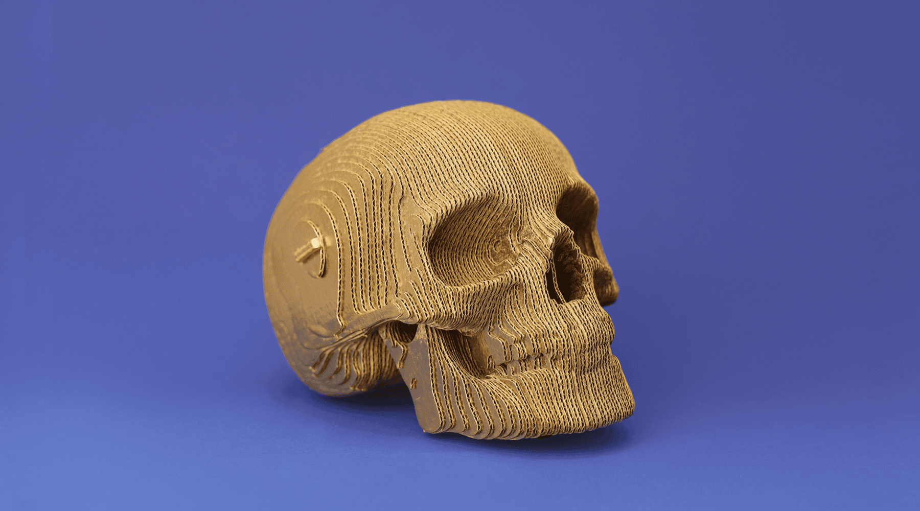 KAUKOLĖ: surenkama 3D dėlionė - skulptūra - OBUOLYS