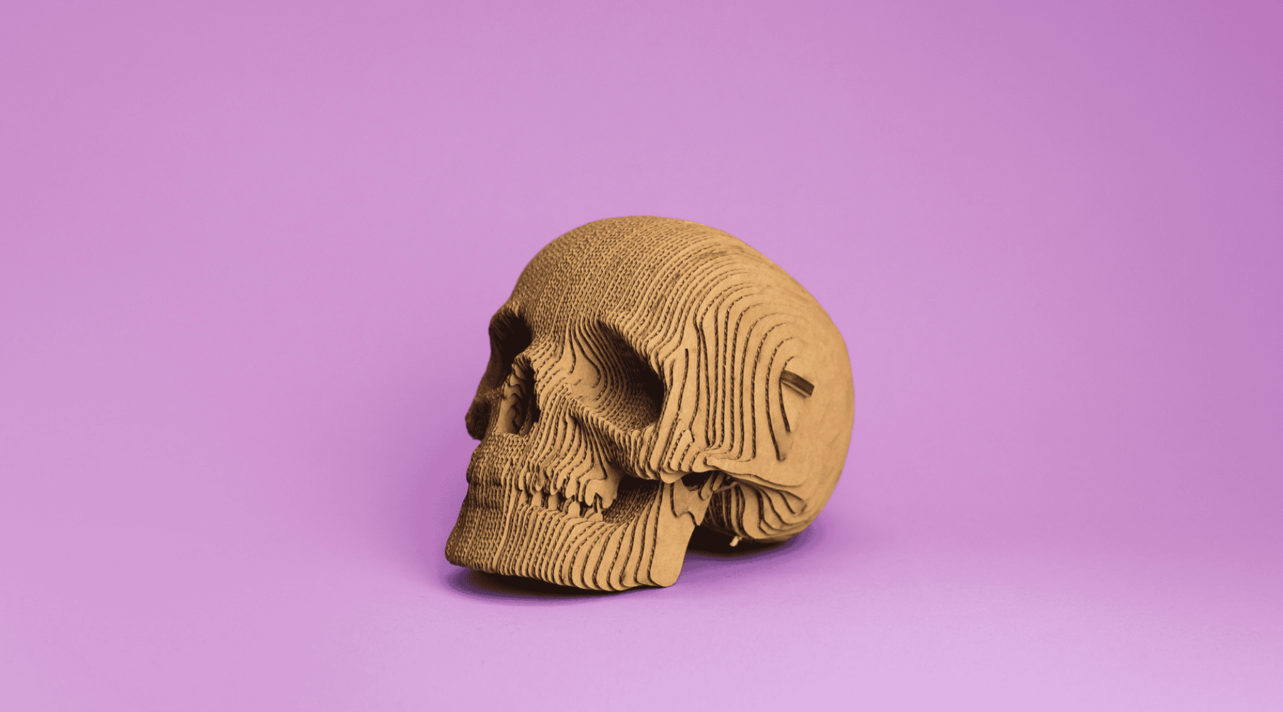 KAUKOLĖ: surenkama 3D dėlionė - skulptūra - OBUOLYS