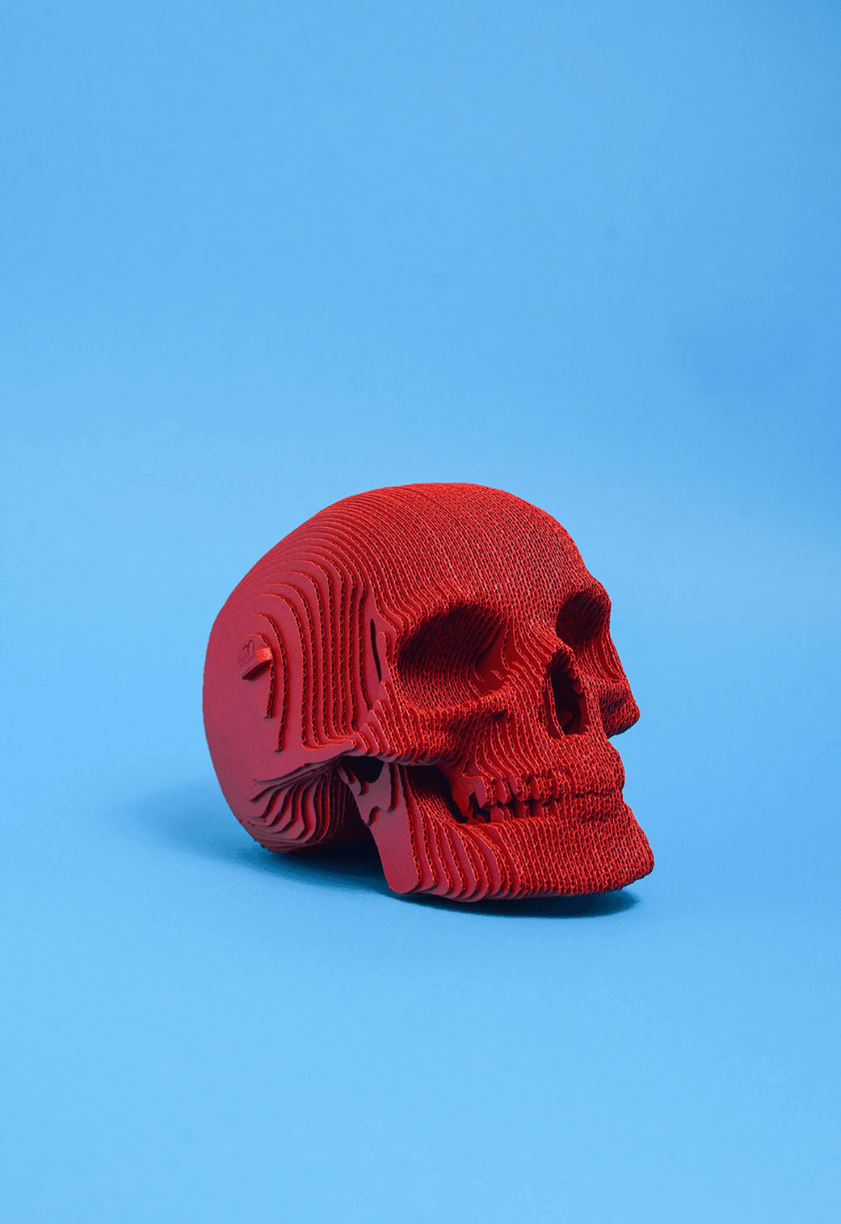 KAUKOLĖ: surenkama 3D dėlionė - skulptūra - OBUOLYS