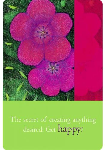 Teachings of Abraham Well-Being kortos Hay House