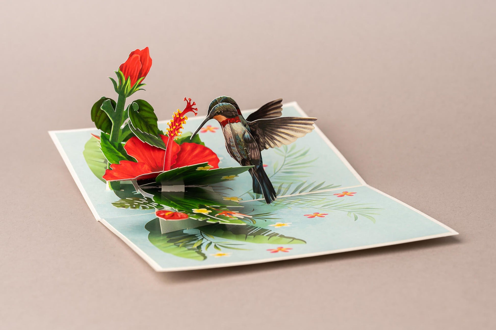 KOLIBRIS IR HIBISKAS: išskirtinio grožio 3D pop - up atvirukas + vokas - OBUOLYS