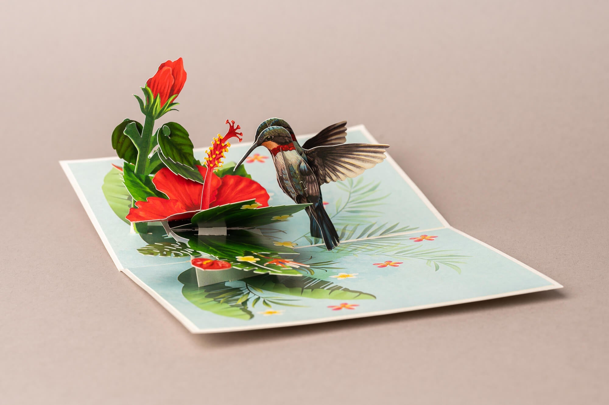 KOLIBRIS IR HIBISKAS: išskirtinio grožio 3D pop - up atvirukas + vokas - OBUOLYS