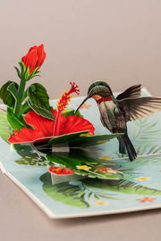 KOLIBRIS IR HIBISKAS: išskirtinio grožio 3D pop - up atvirukas + vokas - OBUOLYS