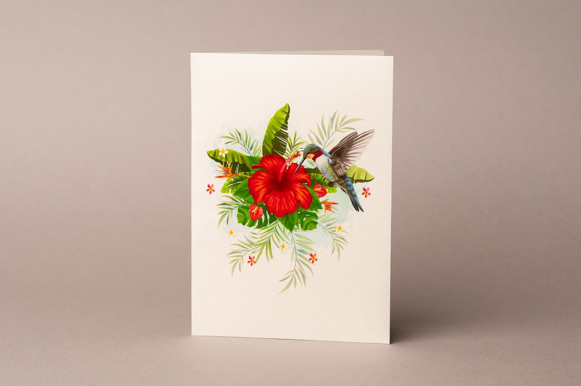 KOLIBRIS IR HIBISKAS: išskirtinio grožio 3D pop - up atvirukas + vokas - OBUOLYS