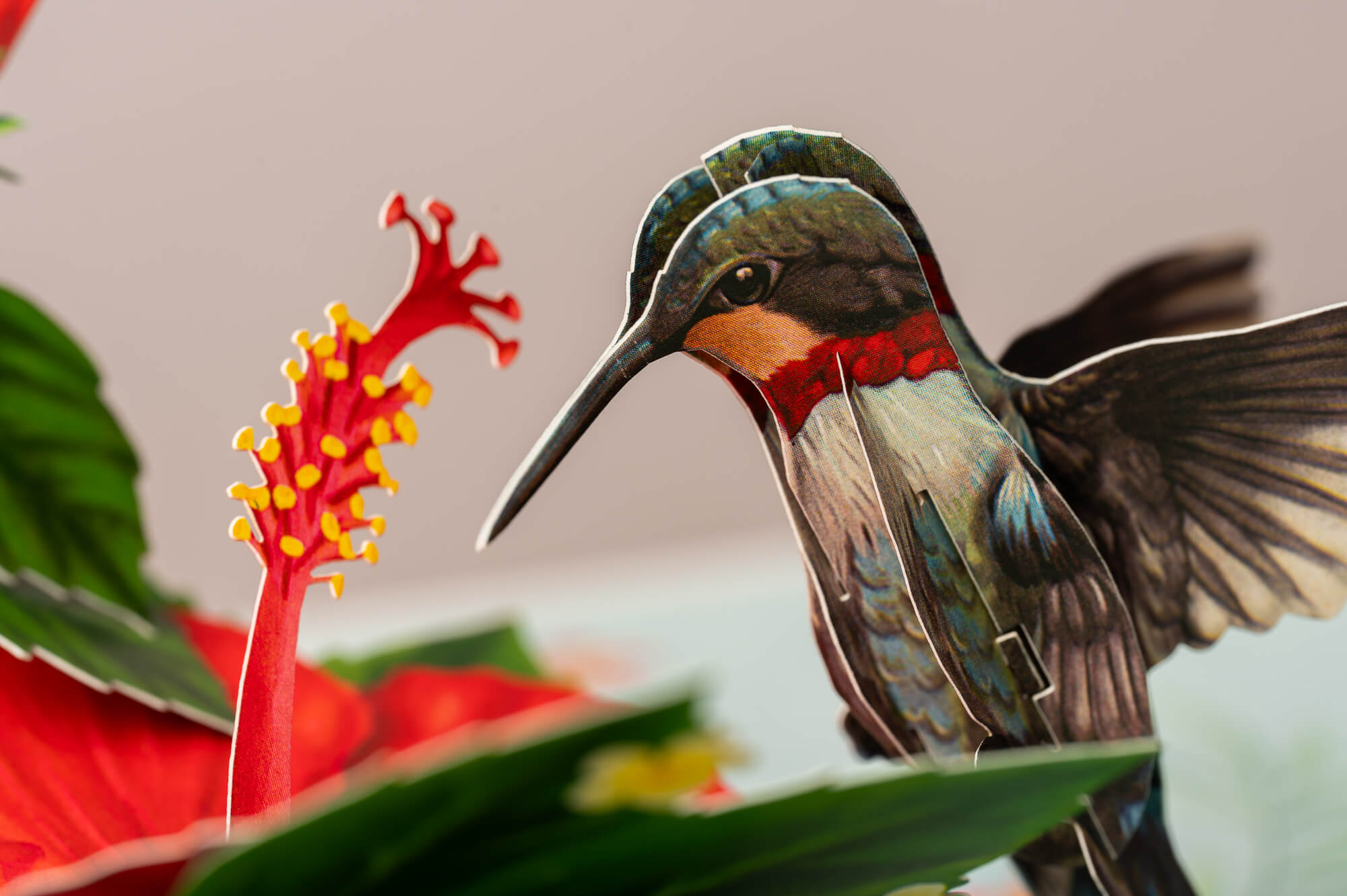 KOLIBRIS IR HIBISKAS: išskirtinio grožio 3D pop - up atvirukas + vokas - OBUOLYS