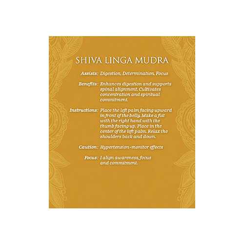 Mudras for Awakening the Energy Body meditacinės kortos ir knyga US Games Systems
