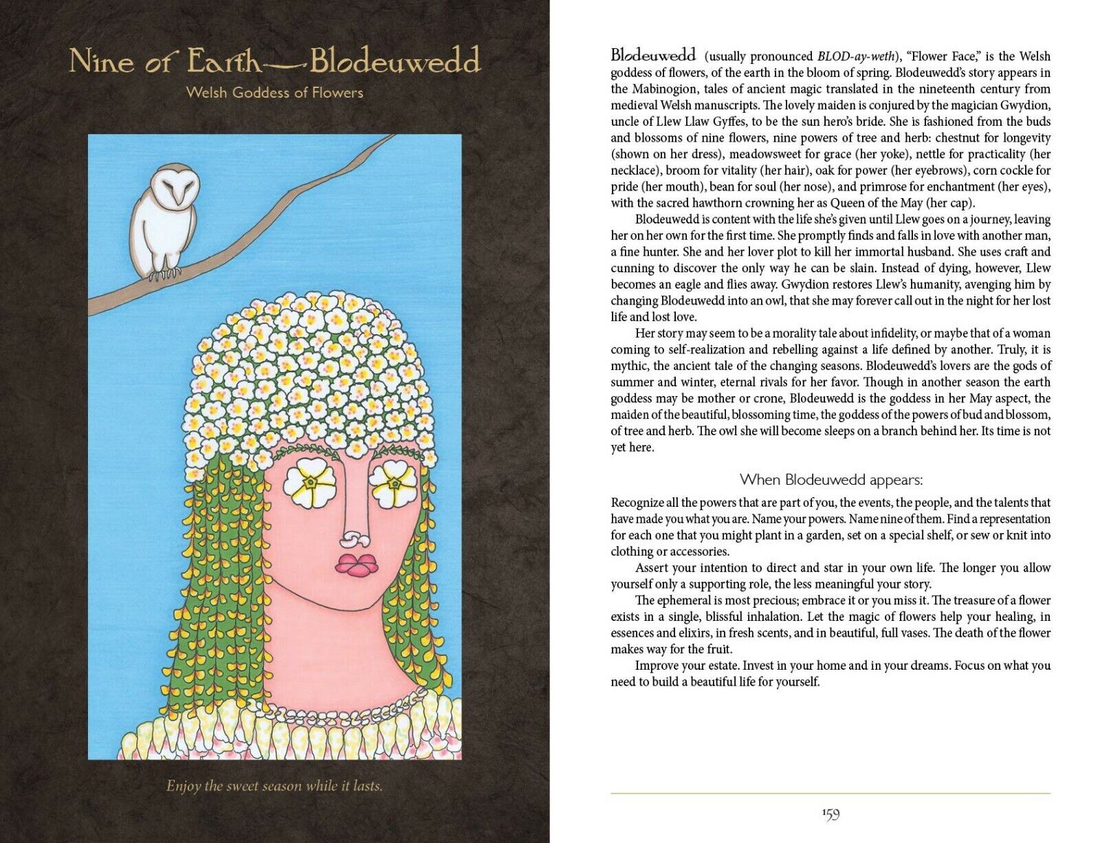Dark Goddess Tarot kortos Schiffer Publishing