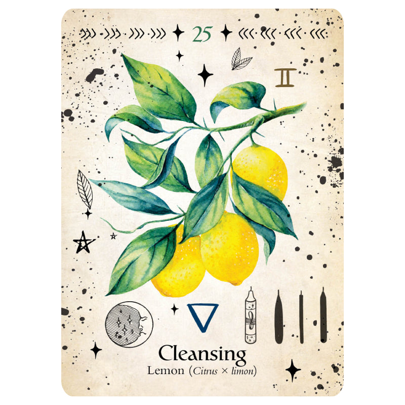 Green Witch Oracle kortos Rockpool