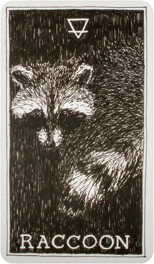 The Wild Unknown Pocket Animal Spirit kortos Harper One