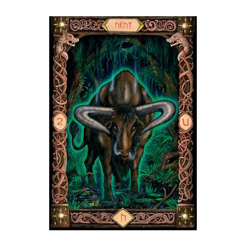 THE POWER OF THE RUNES: senovės runų išmintis – tavo vedlys į giluminį pažinimą