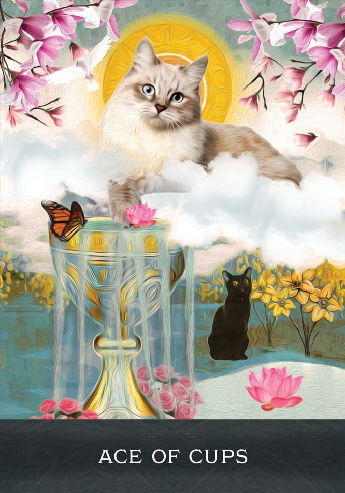 Grimalkins Curious Cats Tarot kortos Hay House