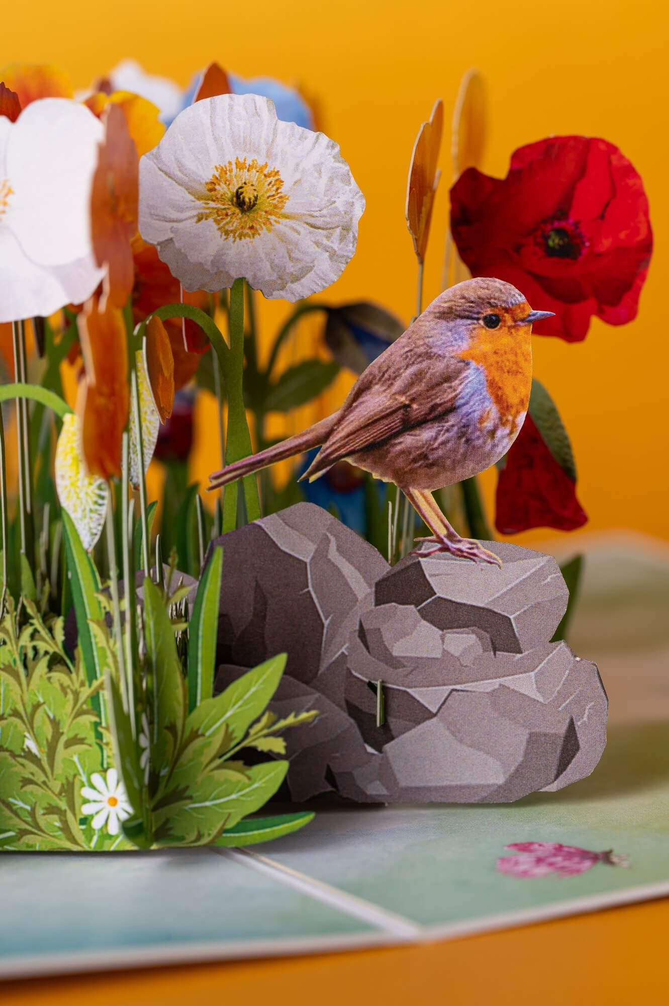 MARGASPALVĖS AGUONOS: išskirtinio grožio 3D pop - up atvirukas + vokas - OBUOLYS