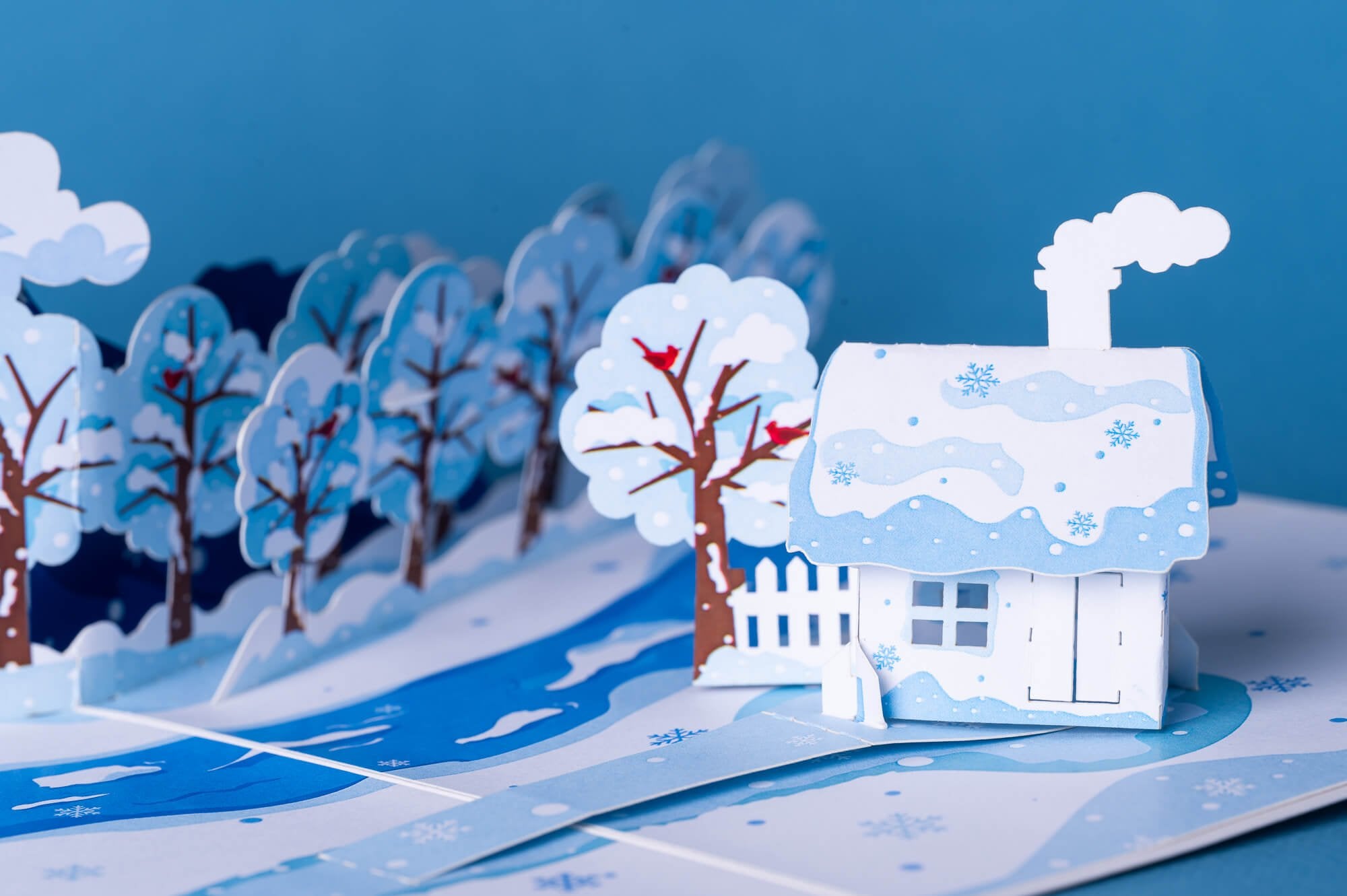 MAŽASIS GANDRIUKAS – ŽIEMA: išskirtinio grožio 3D pop - up atvirukas + vokas - OBUOLYS