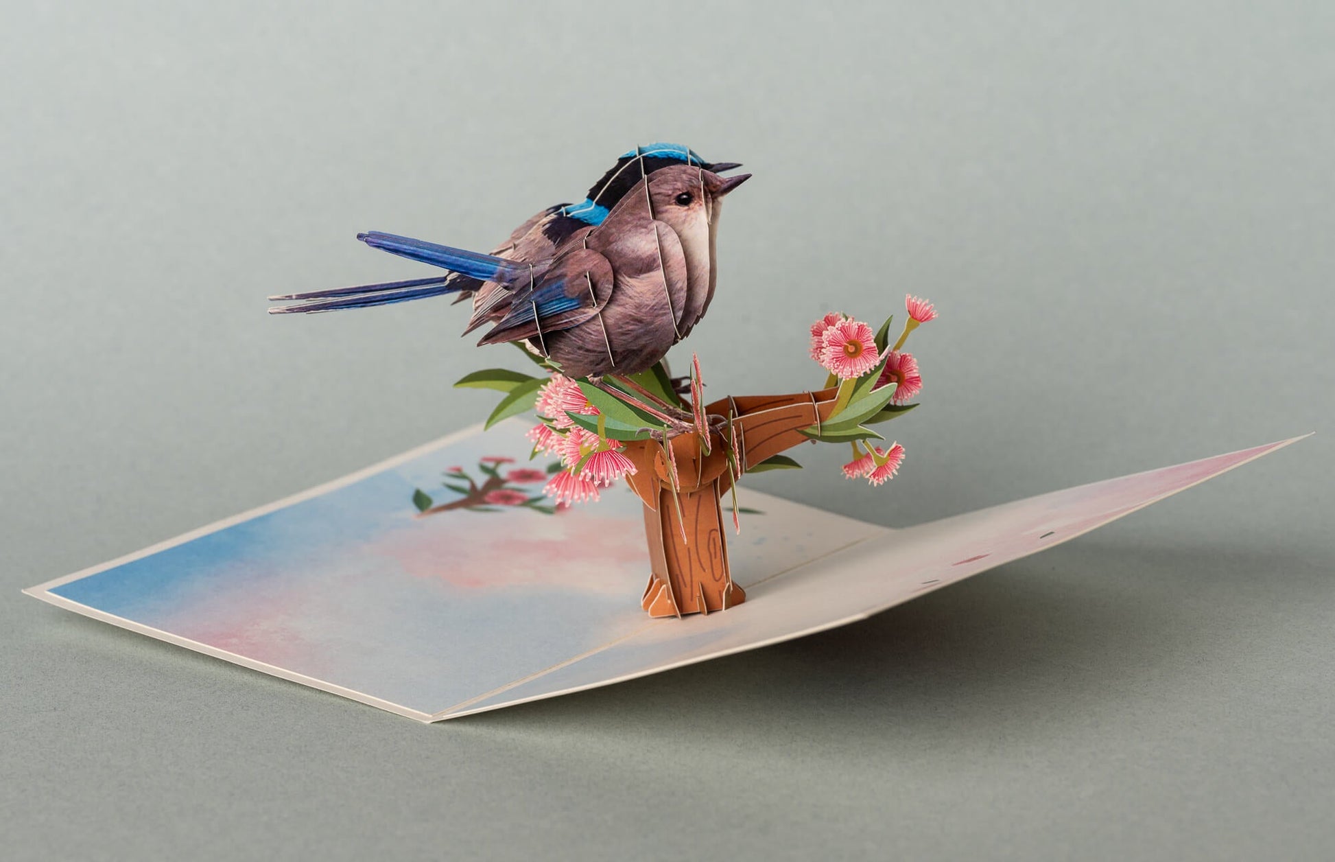 MĖLYNASIS STRAZDAS ANT EUKALIPTO: išskirtinio grožio 3D pop - up atvirukas + vokas - OBUOLYS