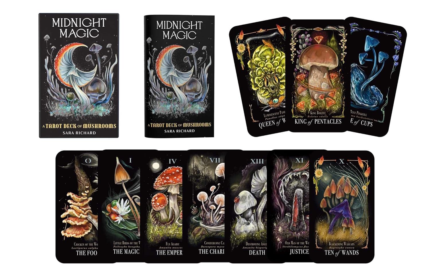 Midnight Magic Taro kortos Adams Media - OBUOLYS