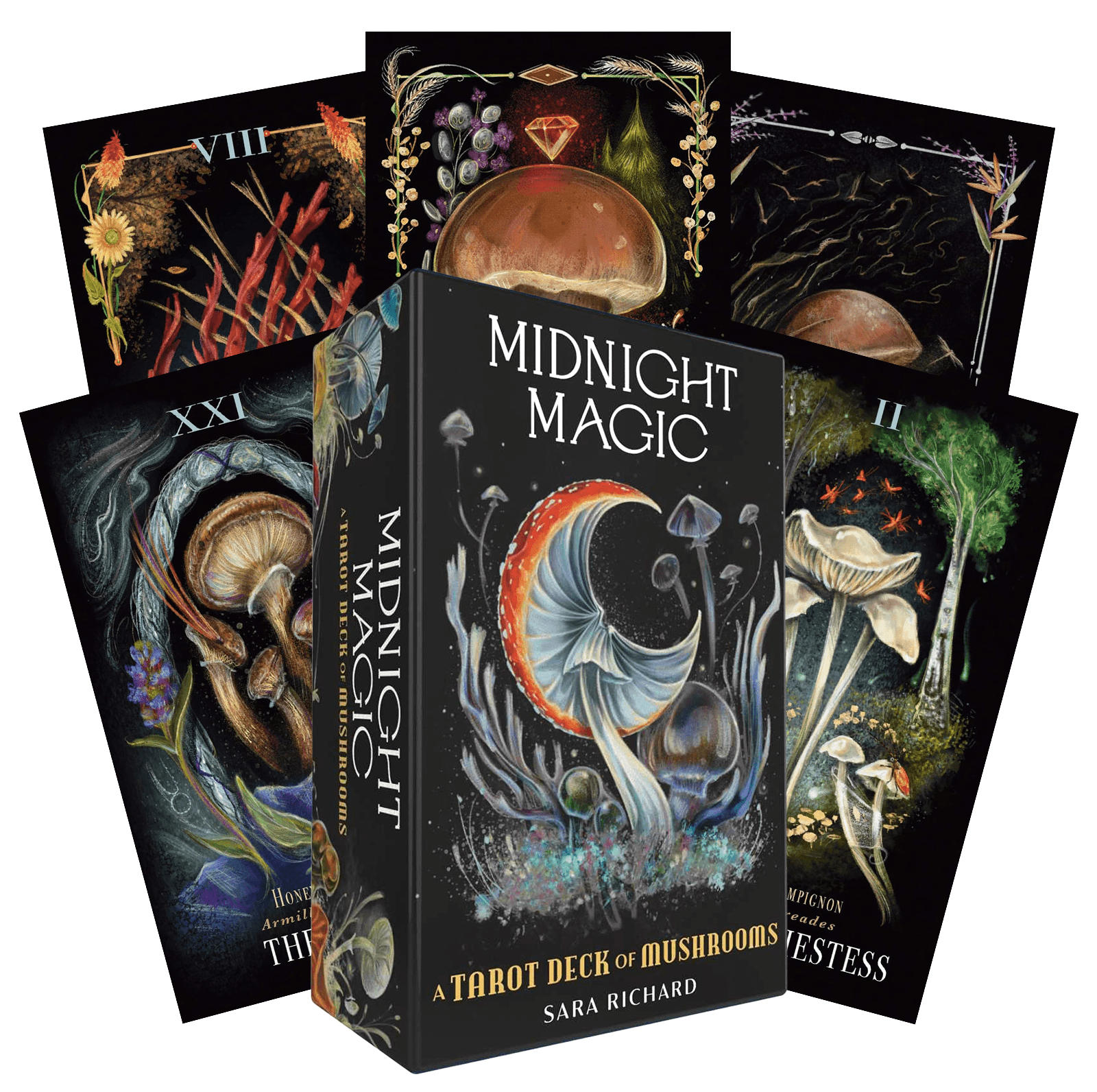Midnight Magic Taro kortos Adams Media - OBUOLYS