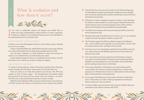 My Wellness žurnalas – užrašinė (anglų k.) Rockpool - OBUOLYS