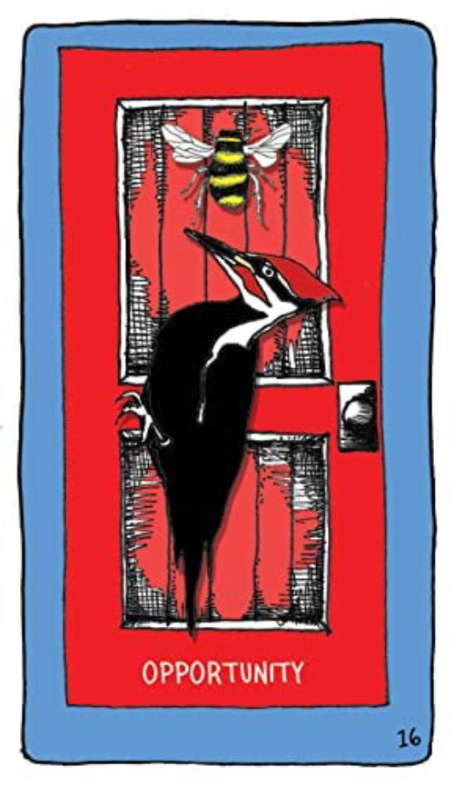 Animal Apothecary Oracle kortos Hay House