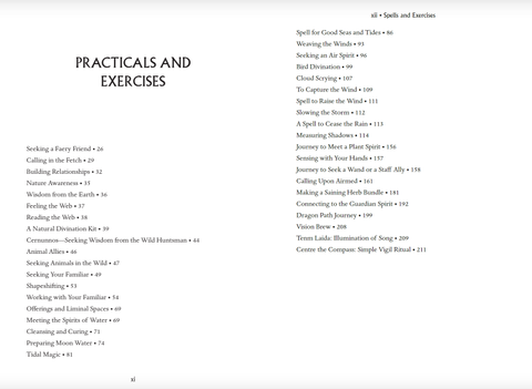 Wild Magic knyga Llewellyn