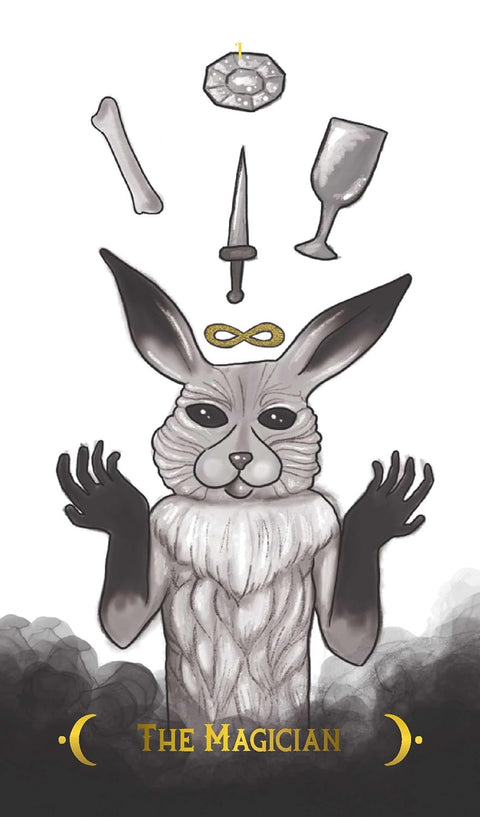 Macabre Taro kortos kišeninis leidimas metalinėje dėžutėje Rockpool Publishing