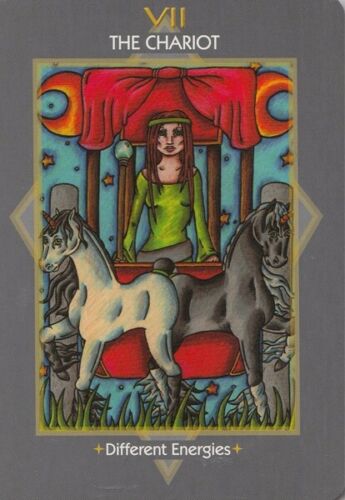 Otherworld Tarot Kortos Schiffer Publishing
