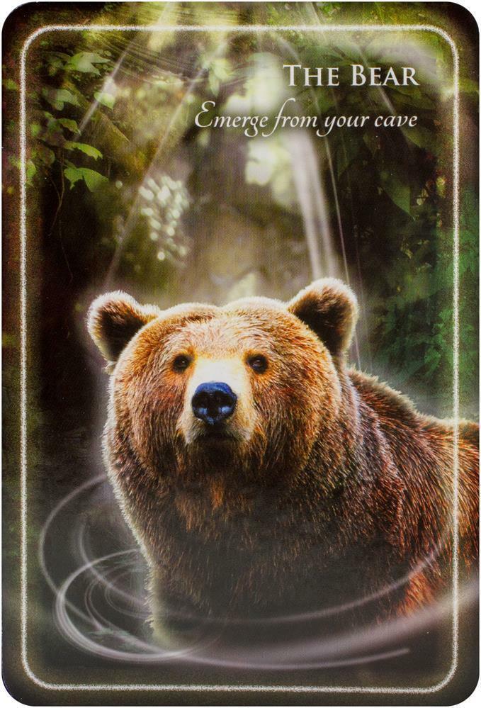 Animal Whispers Empowerment kortos Findhorn Press